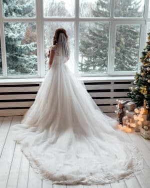 Wedding Dresses Bride Bridal Swan