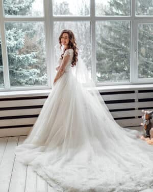 Wedding Dresses Bride Bridal Swan